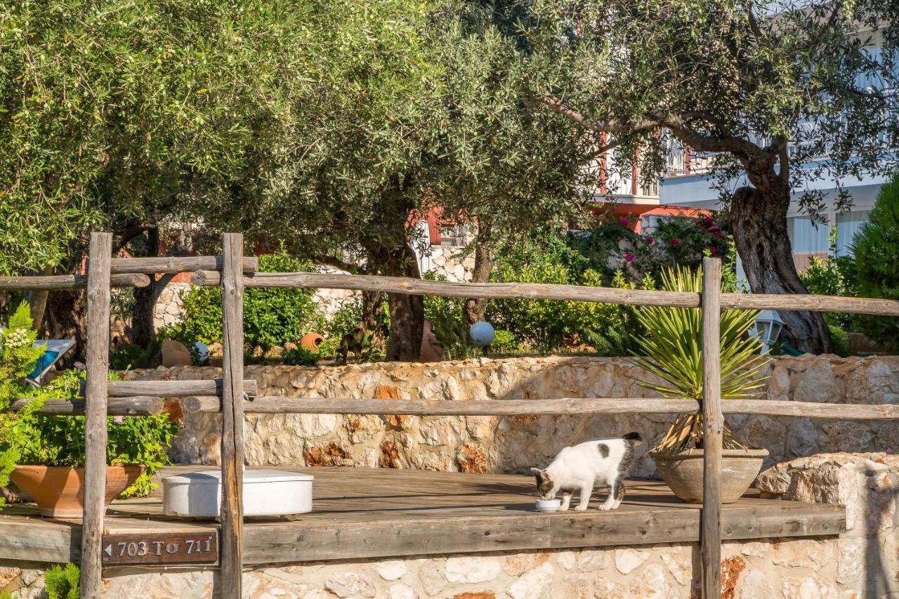 Oasis Hotel (Adults Only) Kalkan Exteriér fotografie